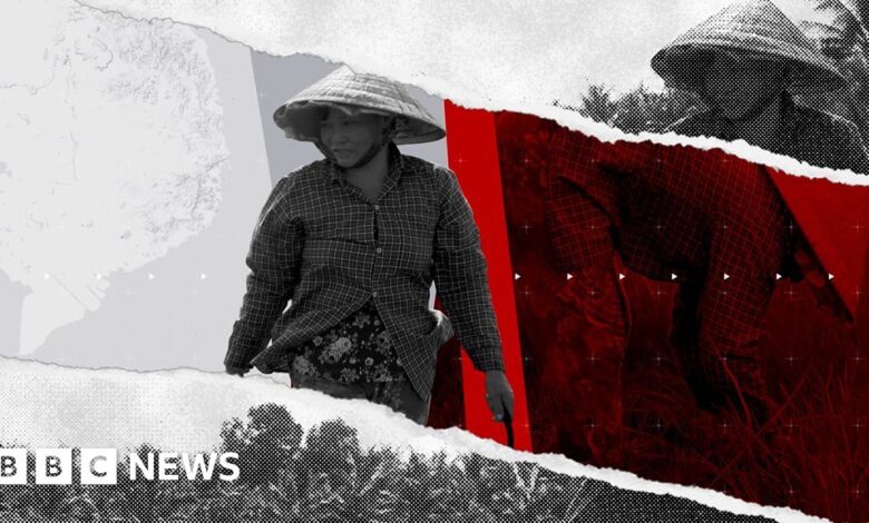 109004261 p07pjyxf.jpg