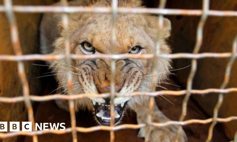 110121926 gettyimages 1187464727