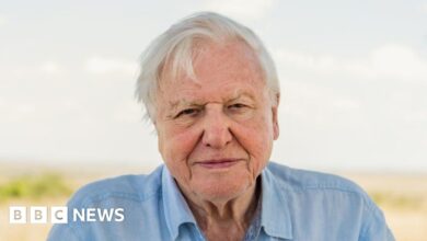 114585177 attenborough1 pa.jpg