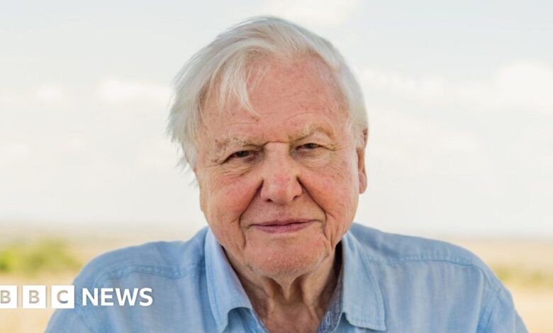 114585177 attenborough1 pa.jpg