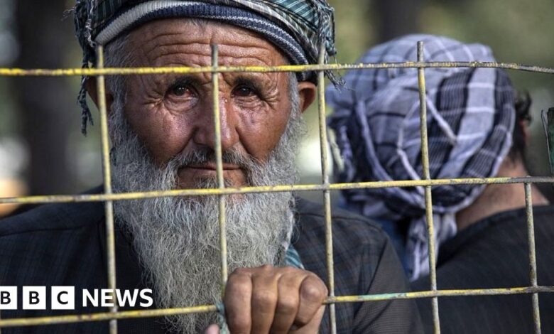 119925842 refugee 976getty.jpg