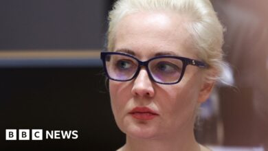 132692070 navalnaya index reuters.jpg