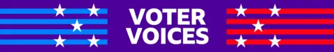 Banner that reads 'Voter Voices'