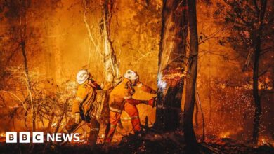 96744910 camnevilleintothefire 0001.jpg