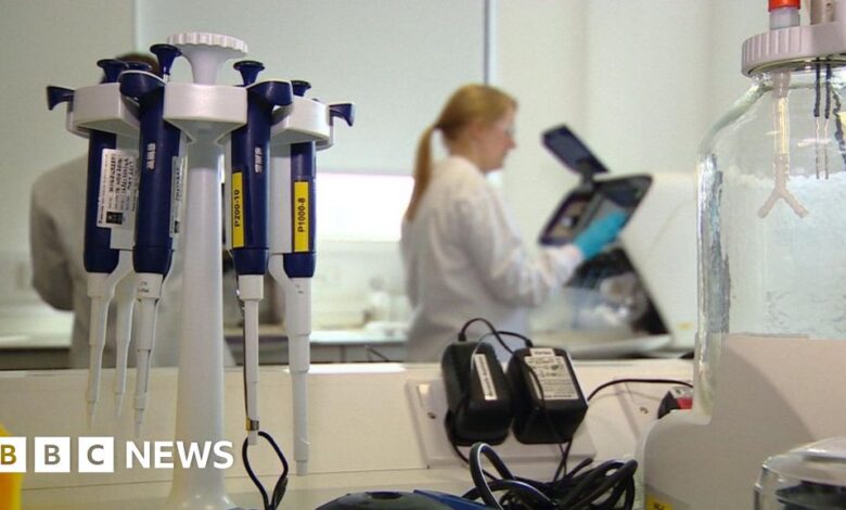 97571617 sisters3.jpg