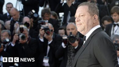 98267425 weinsteinmedia.jpg