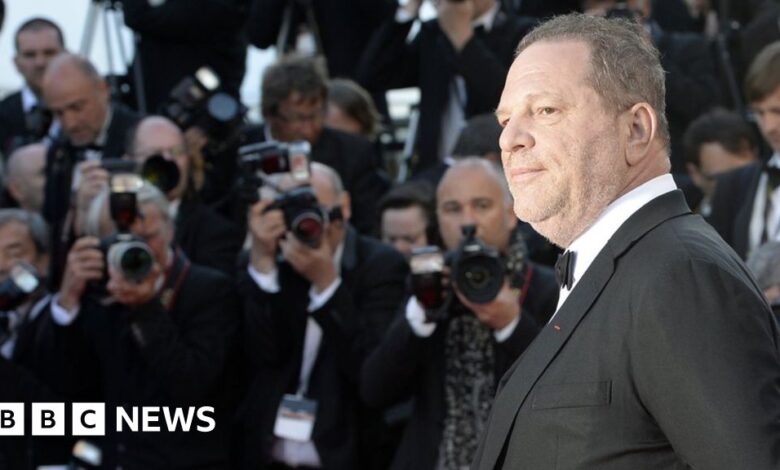 98267425 weinsteinmedia.jpg