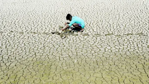 Getty Images An Indian youth scouts around for mud crabs on a dried lake bed in Chennai, India