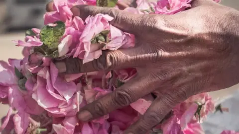 Roses
