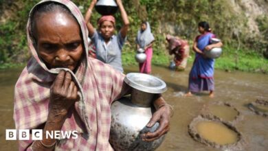 102035183 gettyimages 942070448.jpg