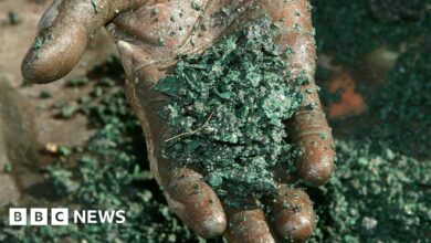 102660192 gettyimages 612559154.jpg