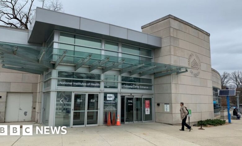 107247305 gettyimages 1135182477.jpg