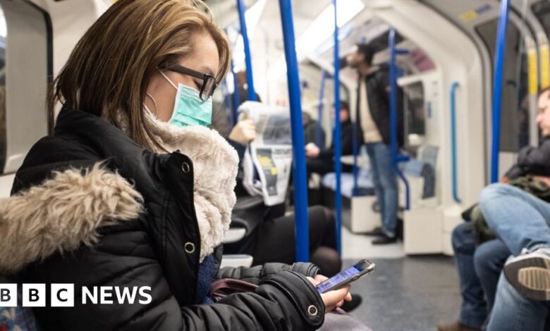 111101225 pawire.jpg