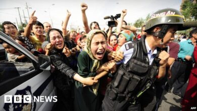 113526001 b721876a 3ca0 4788 933c e438bb5df89b.jpg