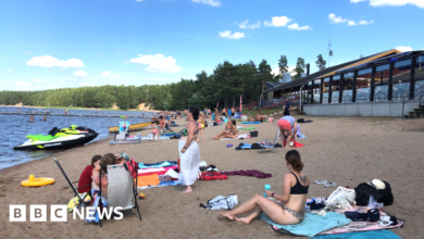 113575652 swedenbeach.png
