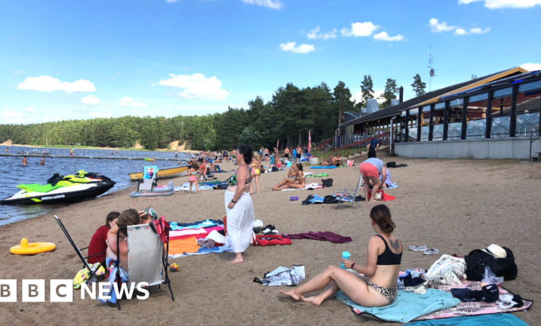 113575652 swedenbeach.png