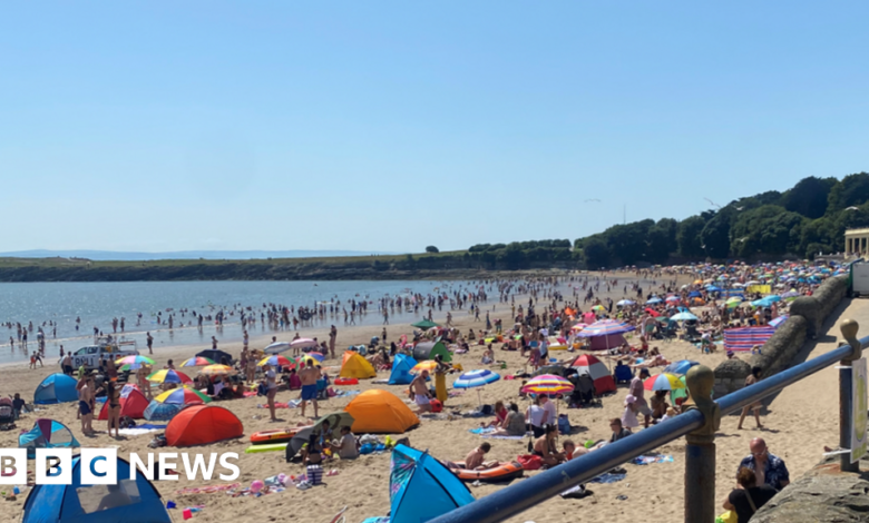 119471935 capture.png