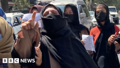 120453378 protesters.png