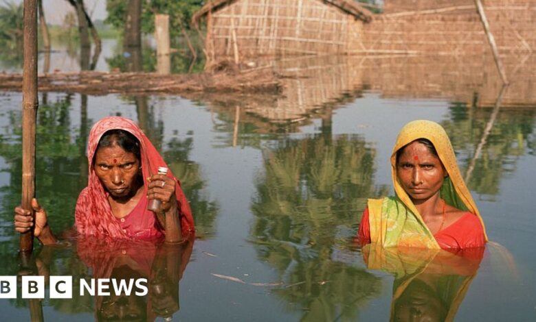 121569084 gettyimages 593275638.jpg