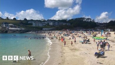 124100252 falmouthswanpool.jpg
