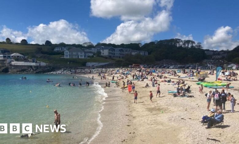 124100252 falmouthswanpool.jpg