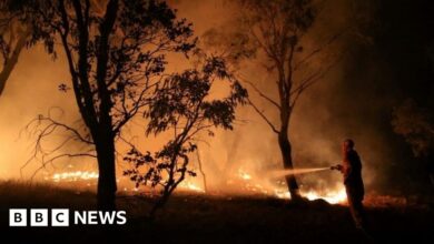 124854489 mediaitem124854488.jpg