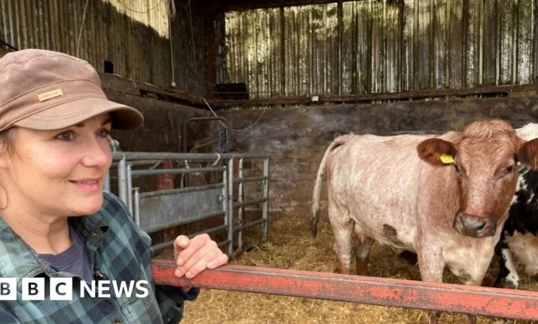 127334945 capture.jpg