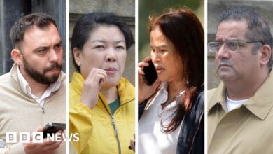 127593103 untitleddesign 69.jpg