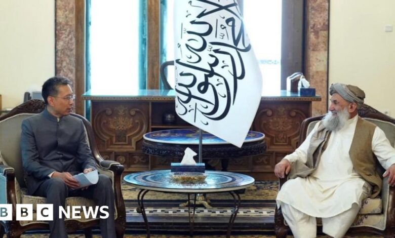 131084034 img 1450.jpg