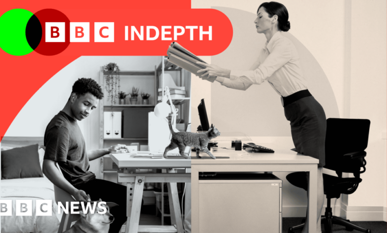 7f236ad0 798a 11ef 8c1a df523ba43a9a.png