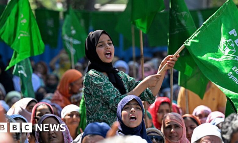 94f644e0 7129 11ef b02d c5f3b724a1ea.jpg