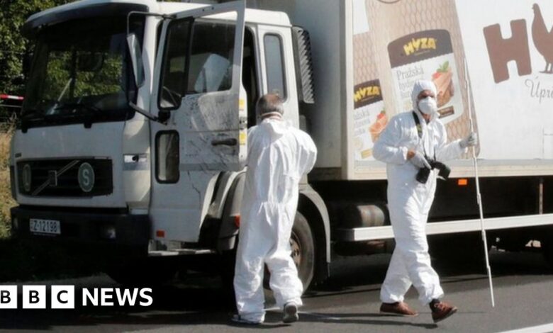 96567921 039303269 1.jpg