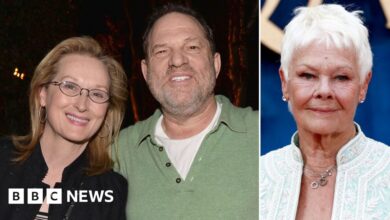 98241823 weinstein splitpicgetty.jpg