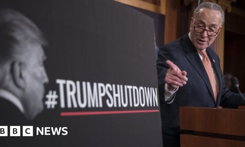 99682156 mediaitem99682155.jpg