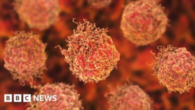 99845316 gettyimages 865375890.jpg