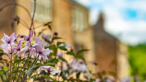 Getty Images Clematis in front of home