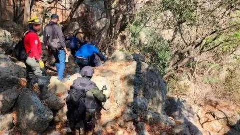 Jalisco State Prosecutor's Office Authorities in northern Mexican have found around 50 bags containing human remains on the outskirts of Guadalajara.