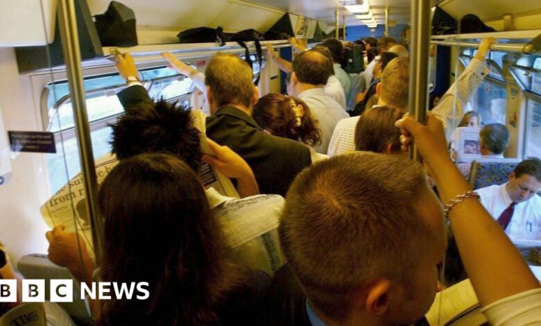 d0204d40 766f 11ef 85ff 633416e71255.jpg