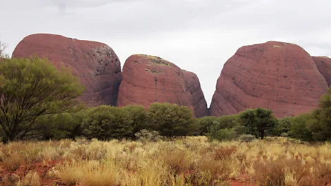 Georgia Rickard The heads of Kata Tjuta crowd together like sleepy children (Credit: Georgia Rickard)