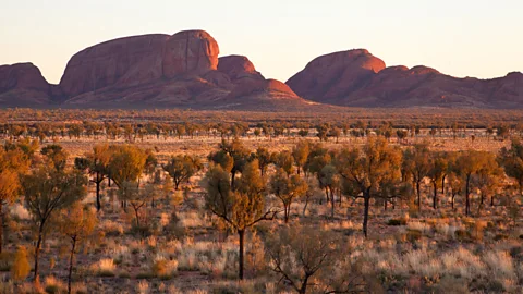 Steve Swayne Kata Tjuta at sunrise (Credit: Steve Swayne)