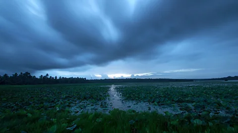 randomclicks/Alamy Steamed earthenware and water are used to recreate the scent of the monsoon (Credit: randomclicks/Alamy)