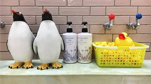 Eliot Stein (Credit: Eliot Stein)