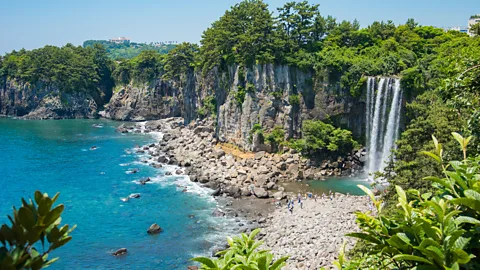 hitsujikumo33/Getty Images Jeju Island is blessed with beautiful beaches, but its poor, volcanic soil has forced islanders to farm the sea (Credit: hitsujikumo33/Getty Images)