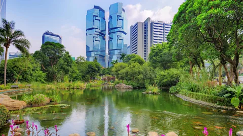 SeanPavonePhoto/Getty Images Hong Kong Park is a lush green space in the centre of the city (Credit: SeanPavonePhoto/Getty Images)