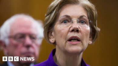 101632898 zz warren.jpg