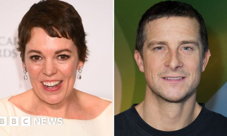 107288127 colman bear getty.jpg