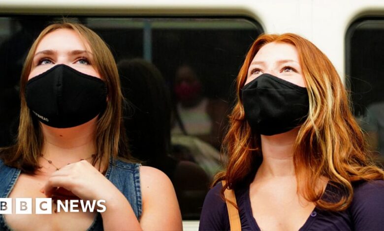 119243190 2 976 pa 60744743.jpg