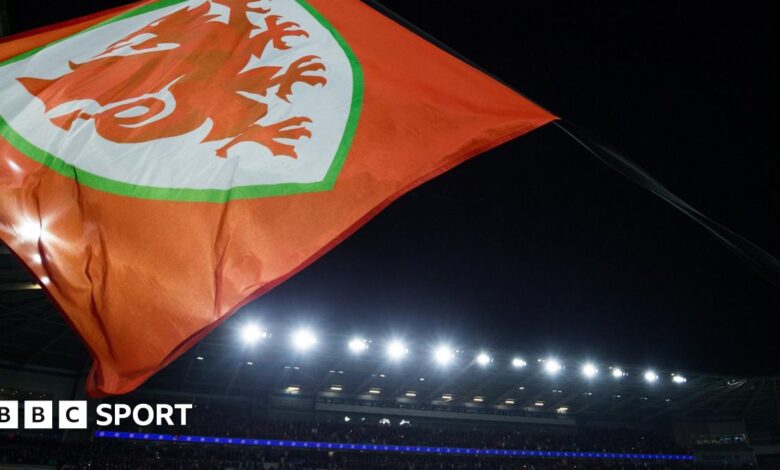 122883471 cdf 161121 ge wales v belgium 42.jpg