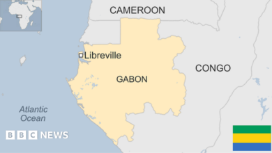128320865 bbcmp gabon.png