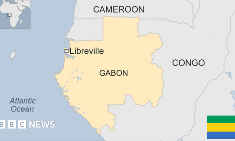128320865 bbcmp gabon.png